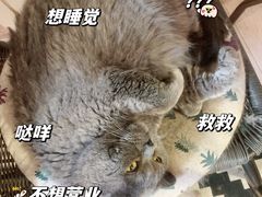 -Rabbit Cafe私房西餐甜点咖啡(栖霞路店)