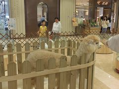 -七欣天香辣蟹火锅(万达广场店)