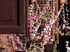 -成都杜甫草堂博物馆