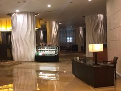 -国家会议中心大酒店