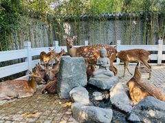 -北京野生动物园