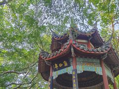 -乌山风景区