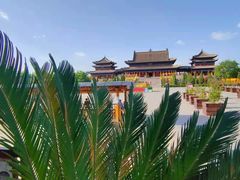 -大槐树寻根祭祖园