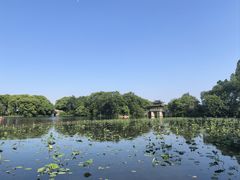 -杭州香格里拉·香宫中餐厅