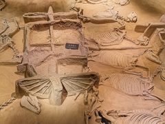 -洛阳周王城天子驾六博物馆