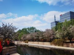 -元大都城垣遗址公园