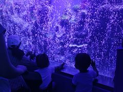 -石家庄海洋公园