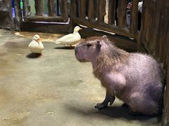 -南昌融创海世界