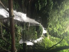 iphone_upload_pic-碧峰峡风景区