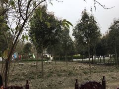 -宣兔头(马家场店)