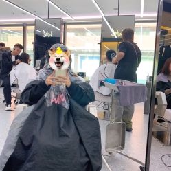 -时尚工厂·科学染发