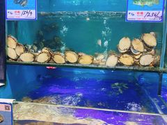 水产区-南海渔家•海鲜•正宗海南菜(海棠湾店)