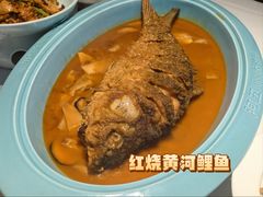 红烧黄河鲤鱼-阿五黄河大鲤鱼(纬三路店)