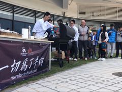 -奥林匹克体育中心游泳馆