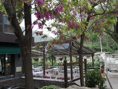 -Local泰莲庭(虹鳟鱼店)