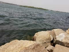 -丁香湖公园
