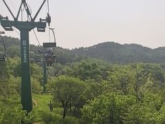 -磬锤峰森林公园