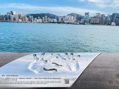-星光大道