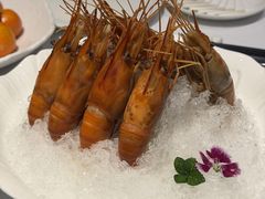 -南麓·浙里(外滩店)