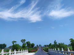 -西京湾花海