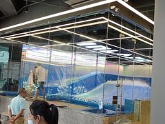 -INLANG饮浪室内冲浪(苏河湾万象天地店)