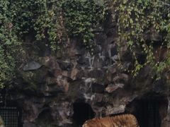 -杭州动物园