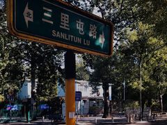 -三里屯东五街银杏大道