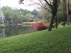 -晓港公园