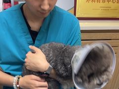 -瑞派宠物医院·24h·骨外科·皮肤科·全科宠物医疗转诊中心(沈阳浑南院)