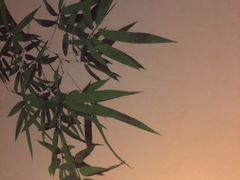 -芬芳四季养生会所(西溪店)