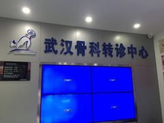 -伟伟宠物医院·CT影像中心·瑞派犬猫综合性门诊(汉口总院)