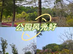 -东莞植物园