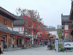 -洋湖国家湿地公园