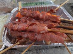 -吴淞炮台湾湿地森林公园烧烤区