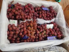 -78线水果批发市场精品厅五号