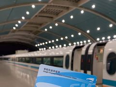 -龙阳路磁悬浮列车总站-停车场