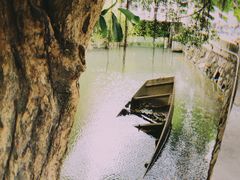 -小洲村