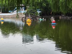 -团结湖公园
