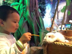 -酷嗒动物文化乐园(cutezoo西溪乐天城店)