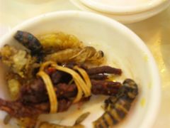 tl00_PlaceHolderPage-桥香园云南过桥米线(金马碧鸡店)