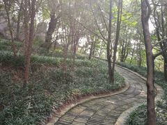 -茂陵博物馆