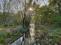 -上海共青森林公园