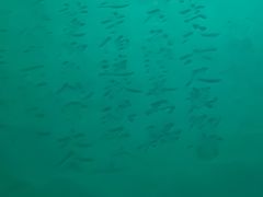 -白鹤梁水下博物馆