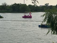 -上海长兴岛郊野公园