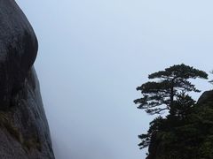 -黄山玉屏楼宾馆餐厅