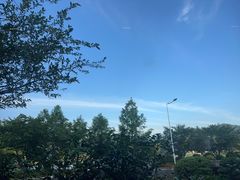 -山水一号·中餐厅