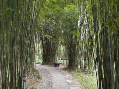 -浙江大学(紫金港校区)
