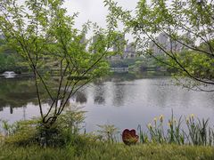 -重庆彩云湖湿地公园