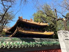 -北京国子监胡同