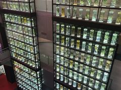 -广东中医药博物馆
